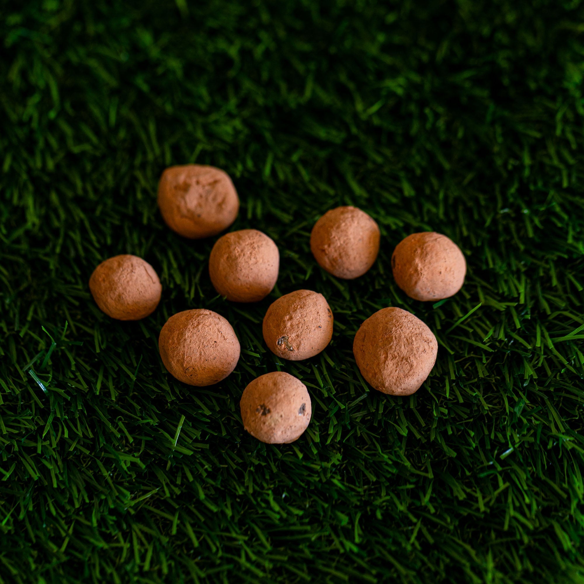 California Poppy Wildflower Garden Confetti Seed Balls