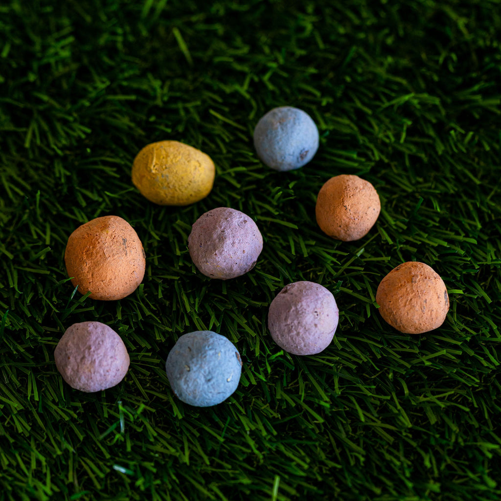 Southeast Wildflower Garden Confetti Seed Balls